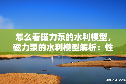 怎么看磁力泵的水利模型，磁力泵的水利模型解析：性能、效率与选型关键