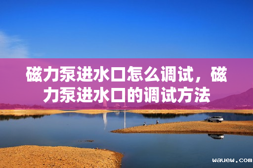 磁力泵进水口怎么调试，磁力泵进水口的调试方法