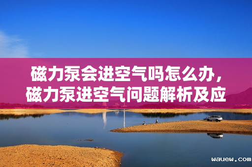 磁力泵会进空气吗怎么办，磁力泵进空气问题解析及应对策略
