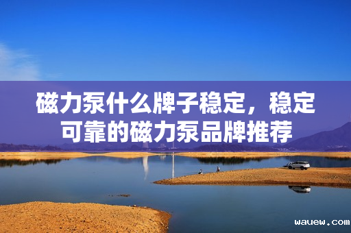 磁力泵什么牌子稳定，稳定可靠的磁力泵品牌推荐