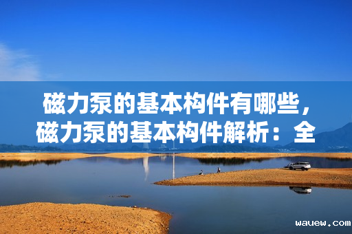 磁力泵的基本构件有哪些，磁力泵的基本构件解析：全面了解其核心组件