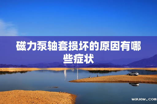 磁力泵轴套损坏的原因有哪些症状