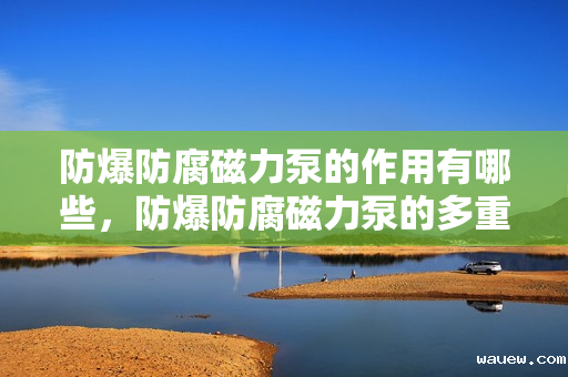 防爆防腐磁力泵的作用有哪些，防爆防腐磁力泵的多重功效：安全防爆与高效防腐的完美结合