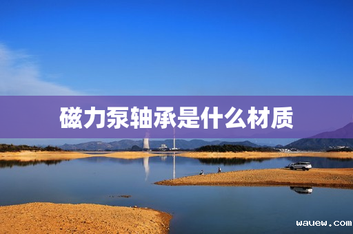 磁力泵轴承是什么材质