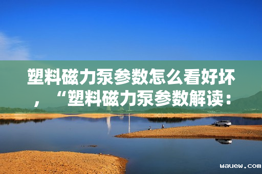 塑料磁力泵参数怎么看好坏，“塑料磁力泵参数解读：如何准确评估性能优劣”