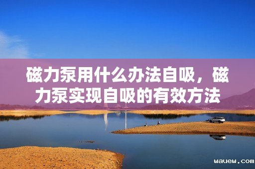 磁力泵用什么办法自吸，磁力泵实现自吸的有效方法