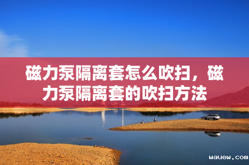 磁力泵隔离套怎么吹扫，磁力泵隔离套的吹扫方法