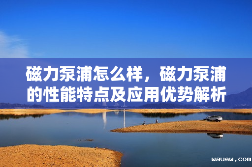 磁力泵浦怎么样，磁力泵浦的性能特点及应用优势解析