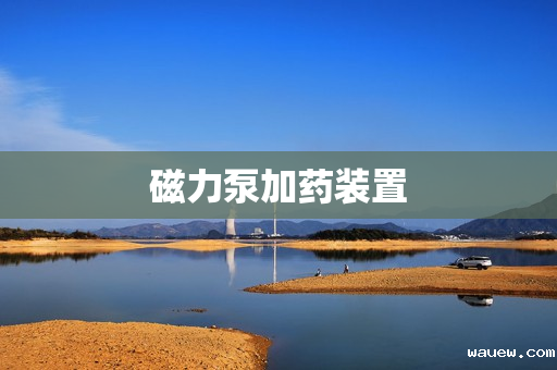 磁力泵加药装置