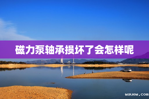 磁力泵轴承损坏了会怎样呢