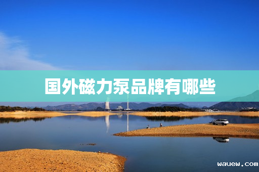 国外磁力泵品牌有哪些