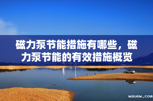 磁力泵节能措施有哪些，磁力泵节能的有效措施概览