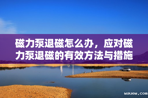 磁力泵退磁怎么办，应对磁力泵退磁的有效方法与措施