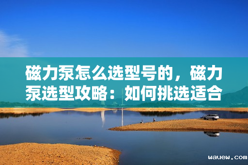 磁力泵怎么选型号的，磁力泵选型攻略：如何挑选适合的磁力泵型号