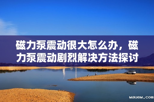 磁力泵震动很大怎么办，磁力泵震动剧烈解决方法探讨