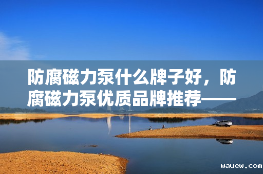 防腐磁力泵什么牌子好，防腐磁力泵优质品牌推荐——选购指南及市场口碑解析