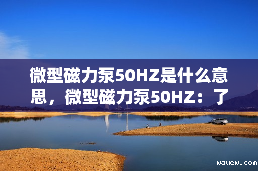 微型磁力泵50HZ是什么意思，微型磁力泵50HZ：了解50HZ频率下微型磁力泵的工作特性及应用