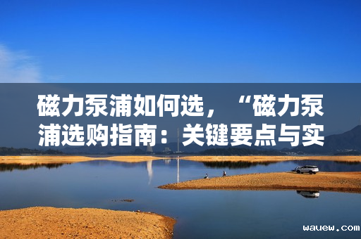 磁力泵浦如何选，“磁力泵浦选购指南：关键要点与实用建议”