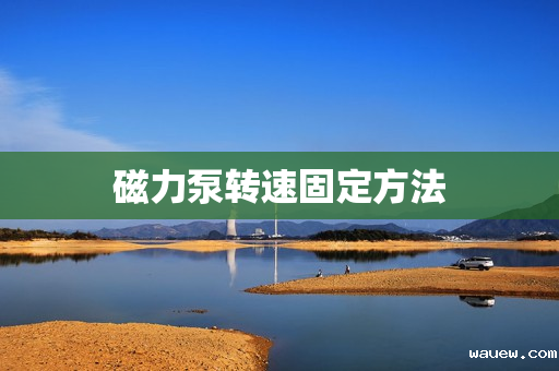 磁力泵转速固定方法