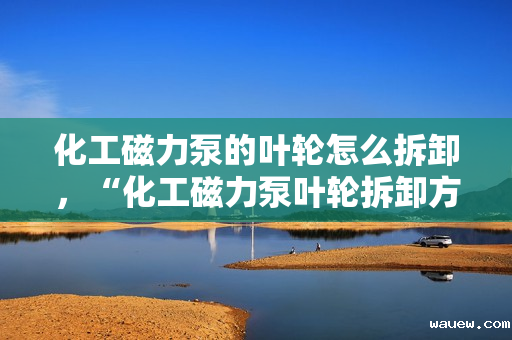 化工磁力泵的叶轮怎么拆卸，“化工磁力泵叶轮拆卸方法详解”