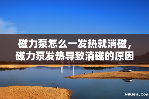 磁力泵怎么一发热就消磁，磁力泵发热导致消磁的原因及解决方案探讨