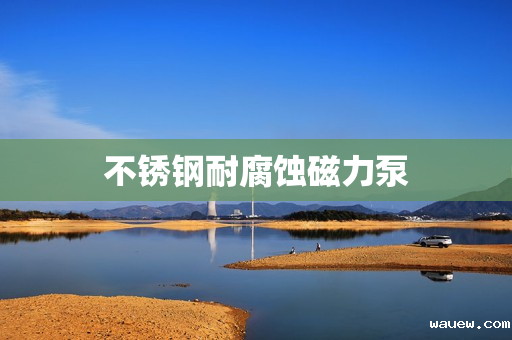 不锈钢耐腐蚀磁力泵