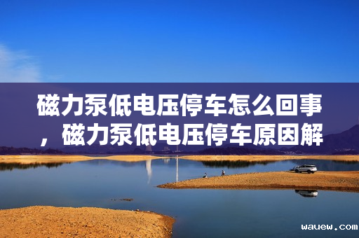 磁力泵低电压停车怎么回事，磁力泵低电压停车原因解析