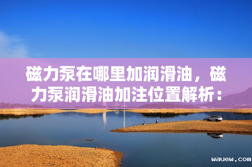 磁力泵在哪里加润滑油，磁力泵润滑油加注位置解析：确保顺畅运行的关键点