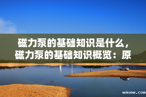 磁力泵的基础知识是什么，磁力泵的基础知识概览：原理、特点及应用领域