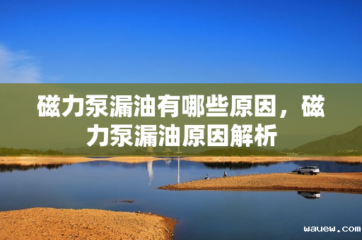 磁力泵漏油有哪些原因，磁力泵漏油原因解析