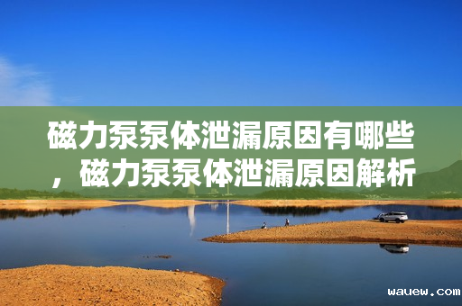 磁力泵泵体泄漏原因有哪些，磁力泵泵体泄漏原因解析