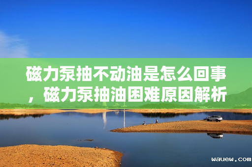 磁力泵抽不动油是怎么回事，磁力泵抽油困难原因解析：故障排查与解决方案