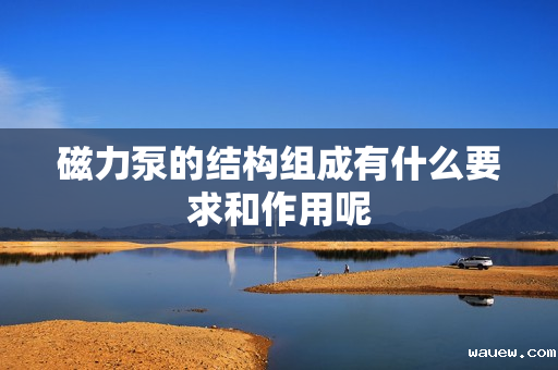 磁力泵的结构组成有什么要求和作用呢