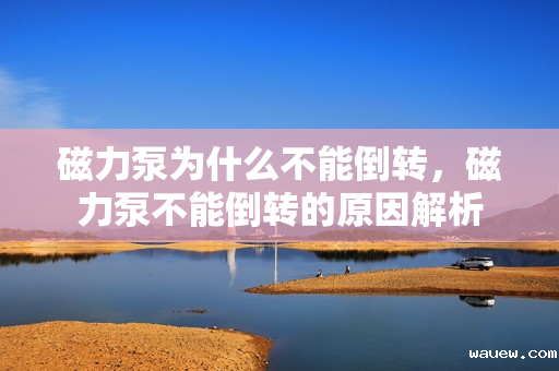 磁力泵为什么不能倒转，磁力泵不能倒转的原因解析