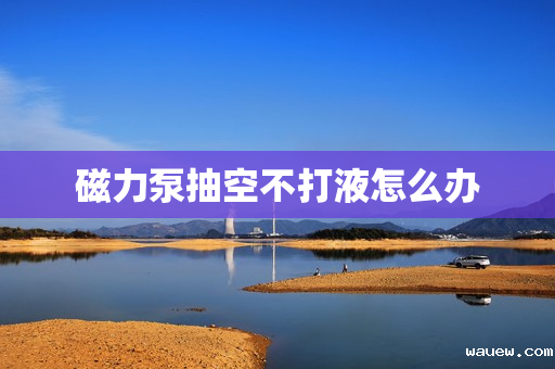 磁力泵抽空不打液怎么办