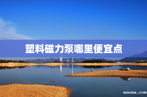 塑料磁力泵哪里便宜点