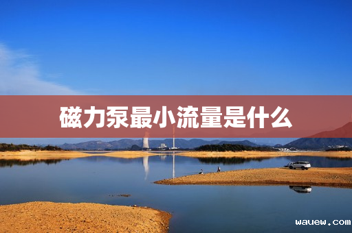 磁力泵最小流量是什么