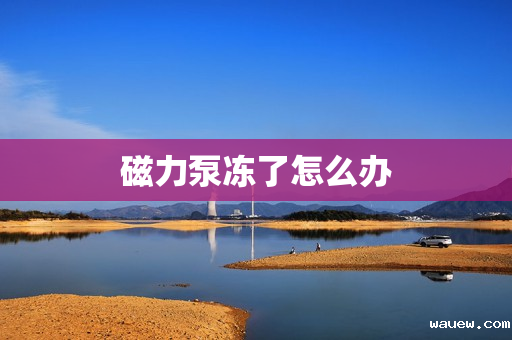 磁力泵冻了怎么办