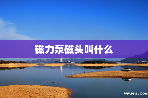 磁力泵磁头叫什么