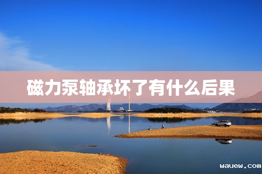 磁力泵轴承坏了有什么后果