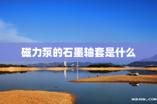 磁力泵的石墨轴套是什么