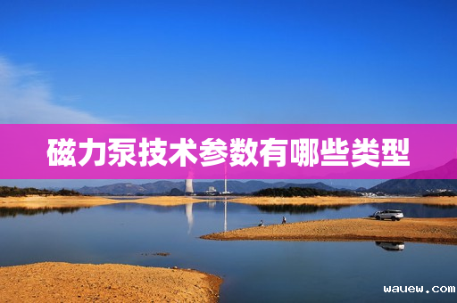 磁力泵技术参数有哪些类型