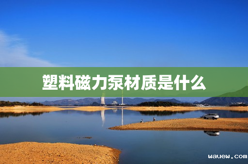 塑料磁力泵材质是什么