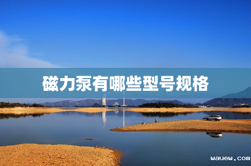 磁力泵有哪些型号规格