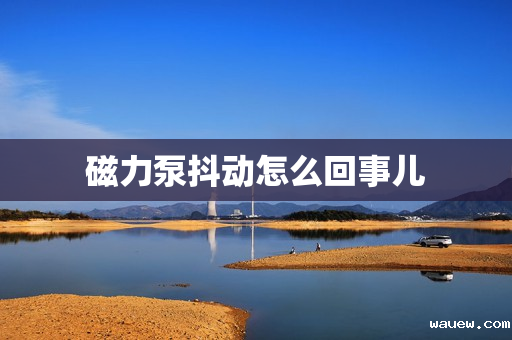 磁力泵抖动怎么回事儿