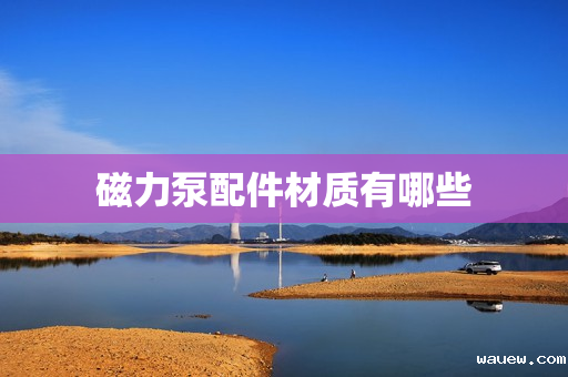 磁力泵配件材质有哪些