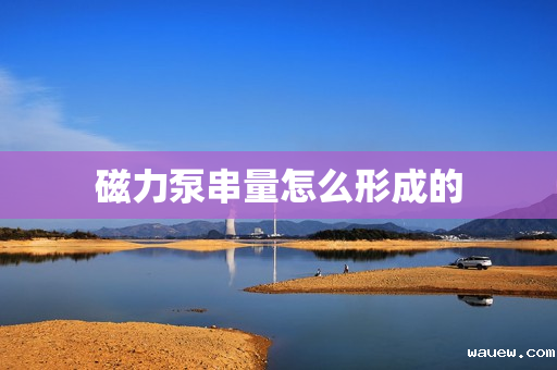 磁力泵串量怎么形成的