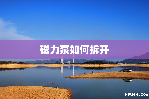 磁力泵如何拆开