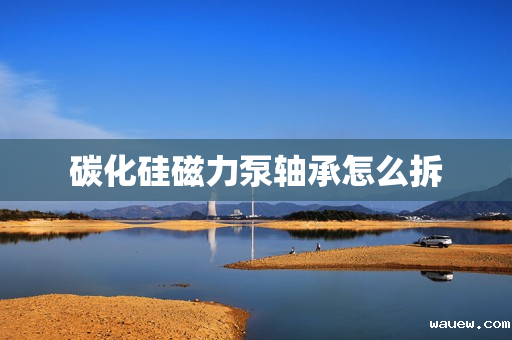 碳化硅磁力泵轴承怎么拆