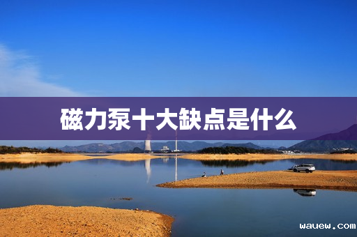 磁力泵十大缺点是什么